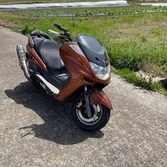 マジェスティ 実働車