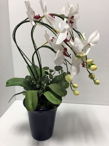 ▼【蘭　造花　インテリア　事務所　装飾品　H60cm 】（NF230411）Zi-1168