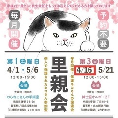 4月16日吹田市犬猫譲渡会あります！の画像