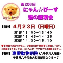 4月23日(日)🌸にゃん☆ぴーす猫の譲渡会🌸「恵愛動物病院」八千...