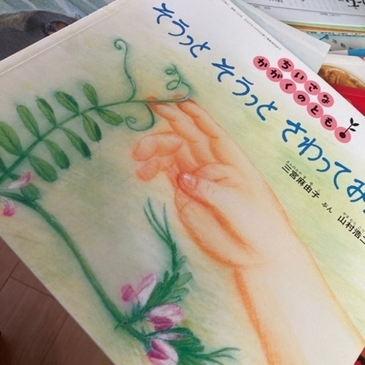 福音館書店　月間えほん　ちいさなかがくのとも