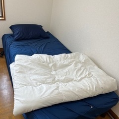 ベッド　シングル