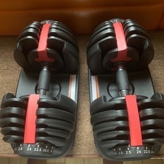 ベイビーザスターズバッグBABY,the stars shine bright-可変式ダンベル　24kg2個セット