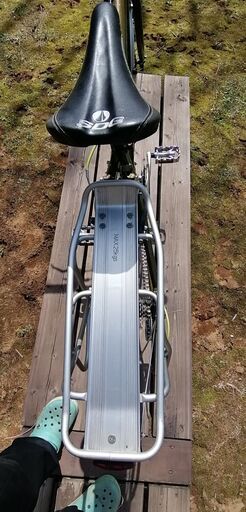 【値下げ交渉可】自転車LOUIS GARNEAU　GMT 420mmサイズ