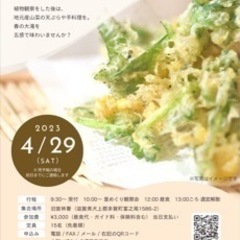 山菜をイベント！！！多賀町大滝地区