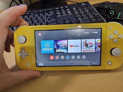 Nitendo Switch Lite