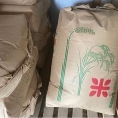 新米　キヌヒカリ30kg玄米