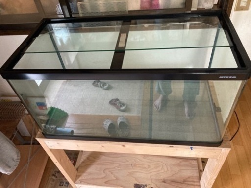 交渉成立ありがとうございました‼️90規格水槽です‼️