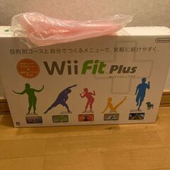 wii fit（wii本体ではありません）