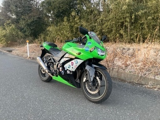 格安 ニンジャ250R 早い者勝ち vpjautopecas.com.br