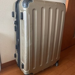 旅行バック　キャリーバッグ