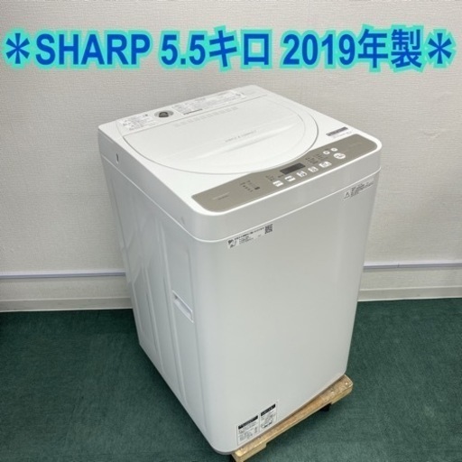 ＊シャープ 全自動洗濯機 5.5キロ 2019年製＊