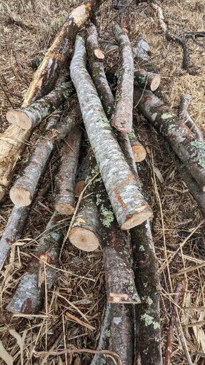 現場一掃 薪材 広葉樹 ８トン前後 現場一掃 薪材 広葉樹 8トン前後