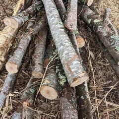 現場一掃 薪材 広葉樹 ８トン前後