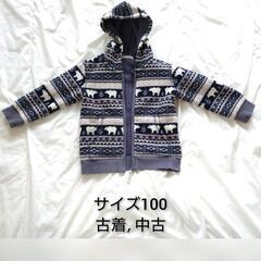 冬の上着 100