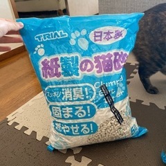 猫砂 紙製の猫砂