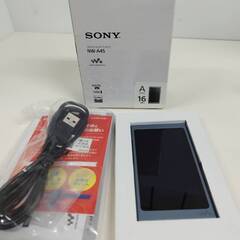 【ネット決済・配送可】SONY Aシリーズ NW-A45/16G...
