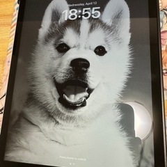 iPad第9世代　64GB　Wi-Fiモデル　中古美品　おまけ多数