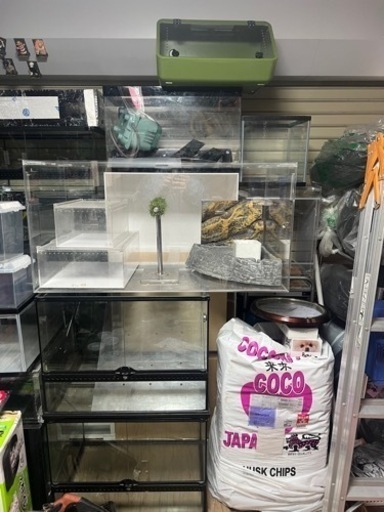 爬虫類ゲージ、用品各種問い合わせ下さい。