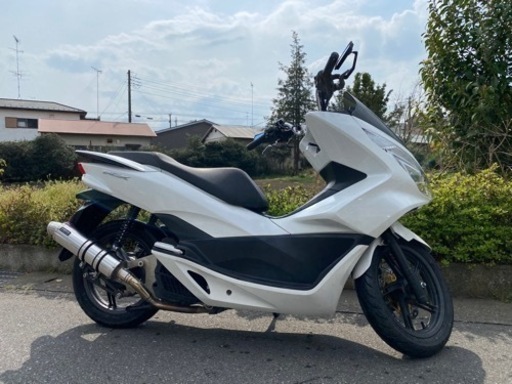 PCX125 JF56 神奈川　早い者勝ち！