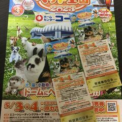  ペット王国2023（京セラドーム大阪）特別招待券　２枚を2,000円