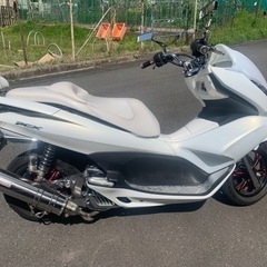 PCX JF-28 ホワイト