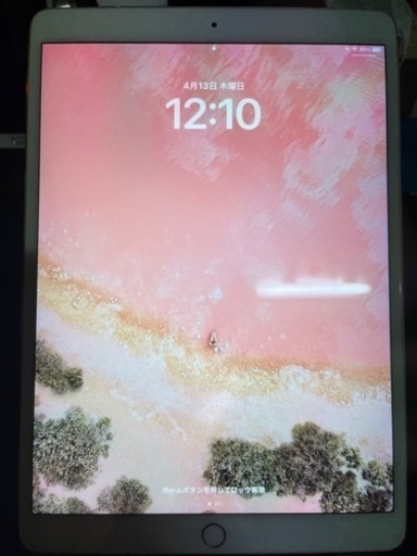 iPad Pro 10.5 inch 256gb pink iPad Pro10.5 64G ピンクゴールドWi-Fi