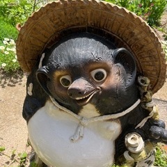 沖縄へ嫁ぎました‼️古い狸の焼物 大 信楽焼 90センチ