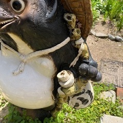 沖縄へ嫁ぎました‼️古い狸の焼物 大 信楽焼 90センチ