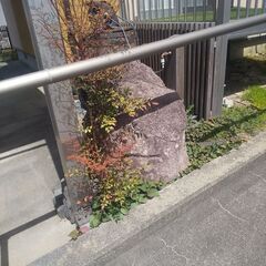 美品◆不動明王石像