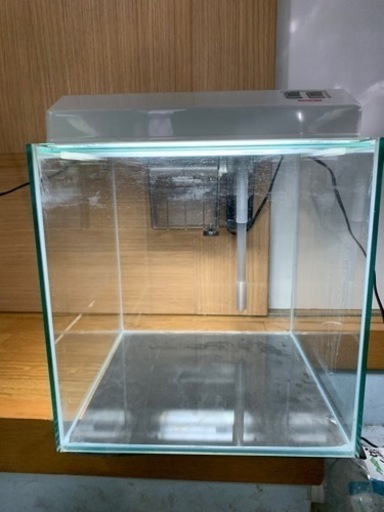 水槽コトブキ30センチキューブ 外掛け式フィルター付き ライト付き ...