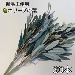 【新品未使用】雑貨 ディスプレイ用 オリーブの葉 30本 観葉植物