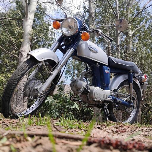 ベンリー50S 軽整備済み 自賠責5年 メンテ風景動画にて解説してます