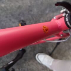 ルイガノ　LOUIS GARNEAU　シャッセ　370mm