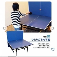 国際規格卓球台とラケットとボール