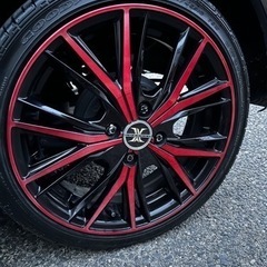 ロクサーニマグナス