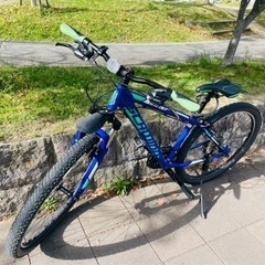 ⭐︎SCHWINN（シュウィン） 2019年モデル ⭐︎MESA2 （メサ2） [MTB