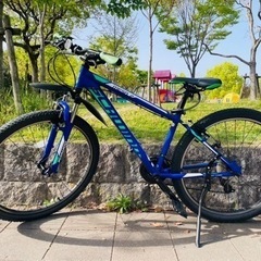 ⭐︎SCHWINN（シュウィン） 2019年モデル ⭐︎MESA...