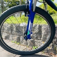 ⭐︎SCHWINN（シュウィン） 2019年モデル ⭐︎MESA2 （メサ2） [MTB] [マウンテンバイク]