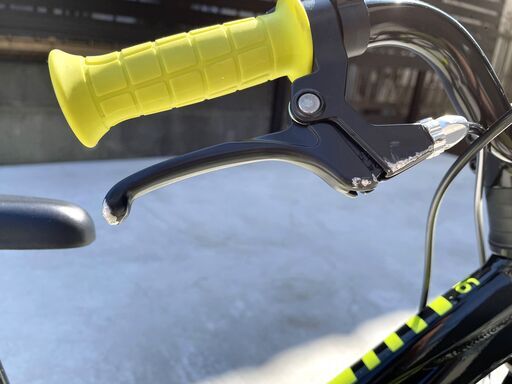 TREK トレック 子供用自転車 Precaliber 16インチ ブラック