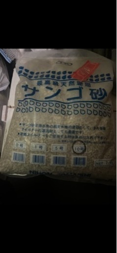 サンゴ砂