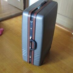 スーツケース　ＳＡＭＳＯＮＩＴＥ