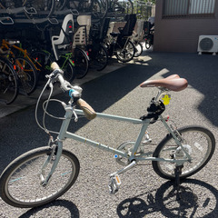 ブルーグレーMIYATA パビア