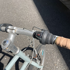 ブルーグレーMIYATA パビア