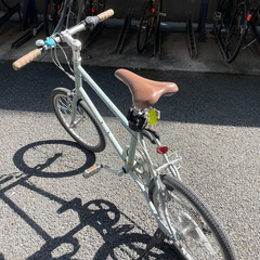 ブルーグレーMIYATA パビア