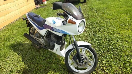 ホンダ　CBX250ｓ　ｶｷﾞ無し書類無し　不動の車体　引き取り限定