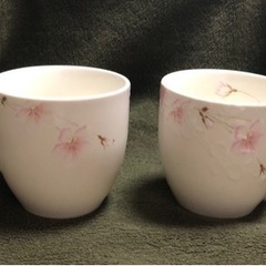 【hiromichi Nakano】桜のマグカップ2個