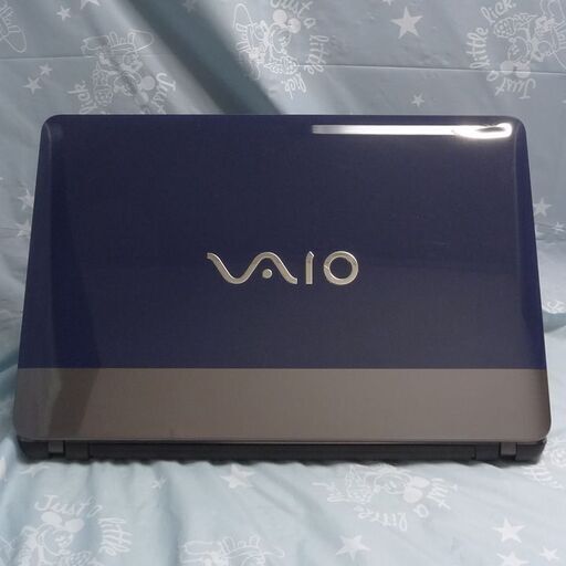 VAIO C””SSD””ネイビー＆グレー” institutoloscher.net