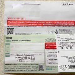 【美品】これ1本万能　ブルーカレントヤマガブランクス　