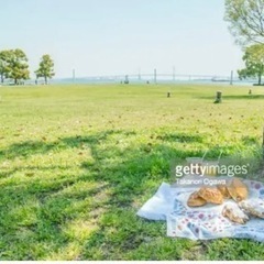 公園でピクニックしませんか？🌸☕️